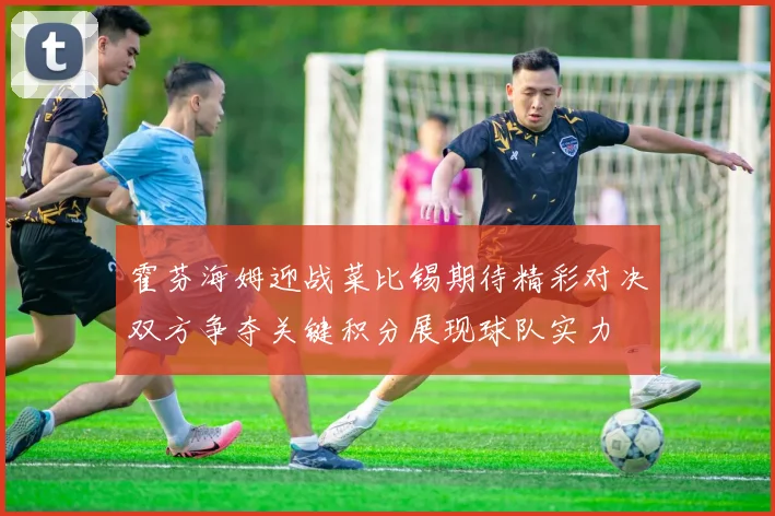 霍芬海姆迎战菜比锡期待精彩对决双方争夺关键积分展现球队实力