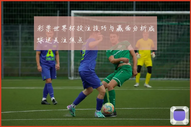 彩票世界杯投注技巧与赢面分析成球迷关注焦点